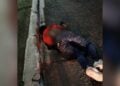 motociclista grave en Reynosa