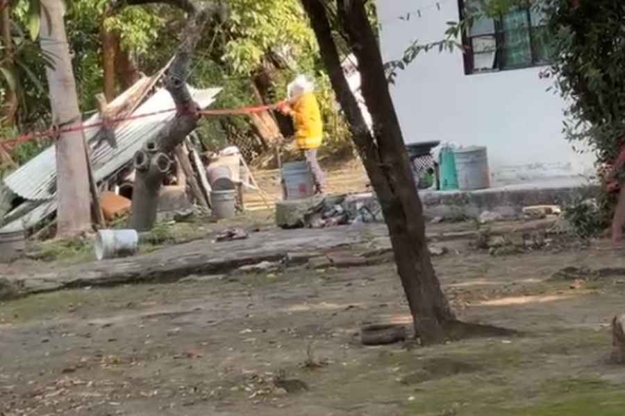 mujer abejas ejido Tanchipa