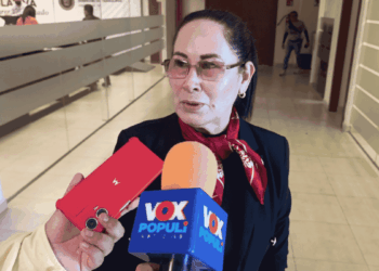 perfiles profesionales guarderías Tamaulipas