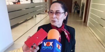 perfiles profesionales guarderías Tamaulipas