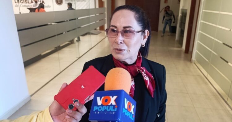 perfiles profesionales guarderías Tamaulipas