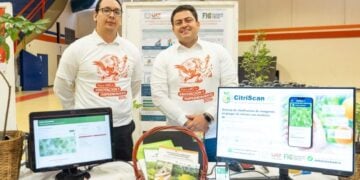 plagas en cítricos Tamaulipas