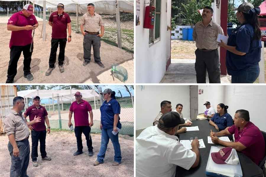 protección  tortugas marinas  Tamaulipas 