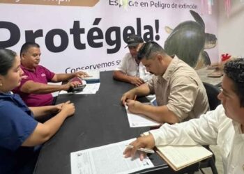 protección tortugas marinas Tamaulipas