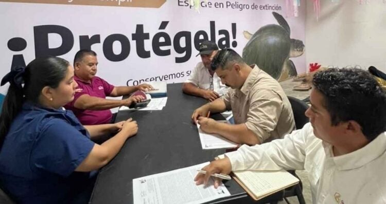 protección tortugas marinas Tamaulipas