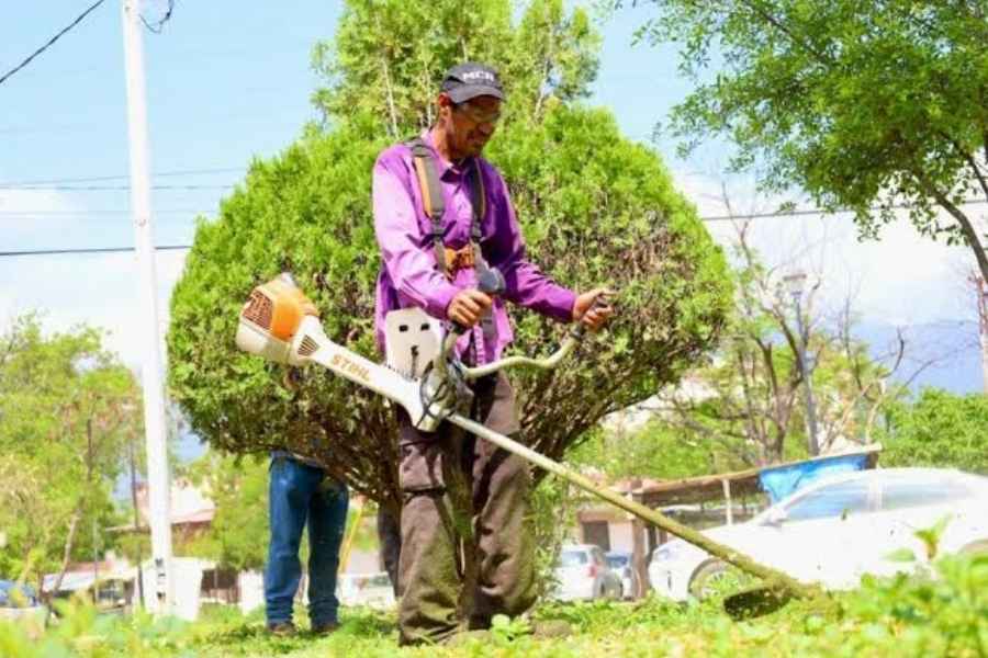 recolección basura Ciudad Victoria