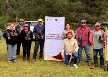 reforestación en Jaumave y Miquihuana
