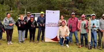 reforestación en Jaumave y Miquihuana