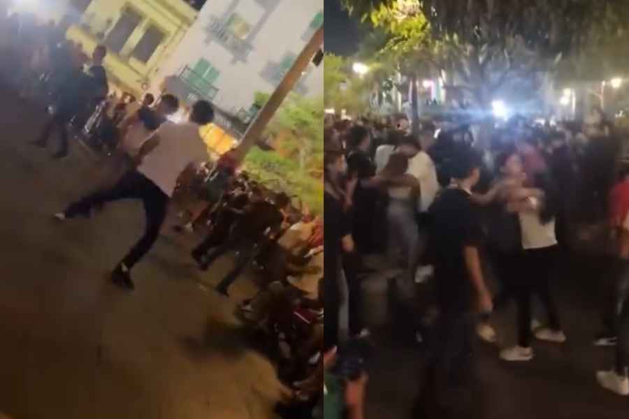 riñas festejos patrios Tampico