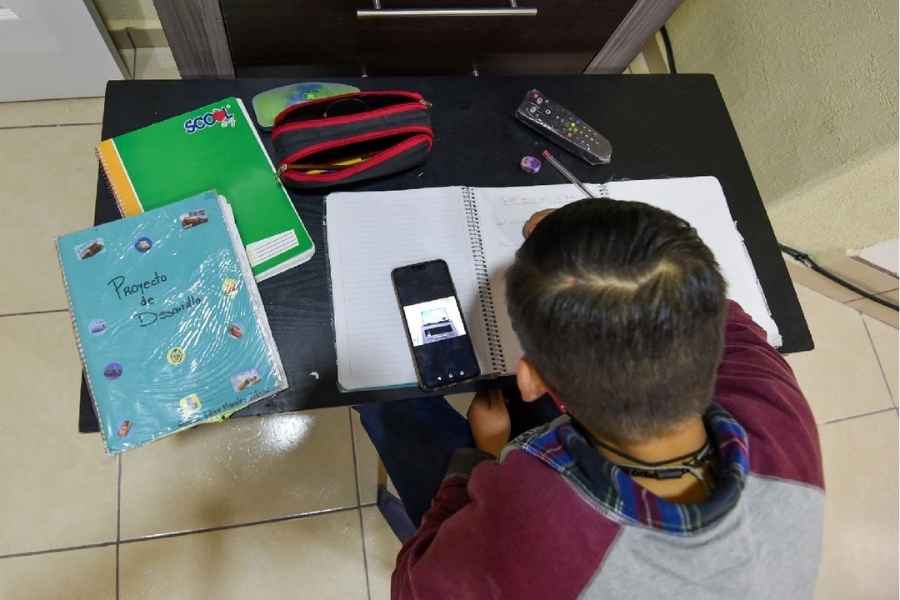 telefonos celulares magisterio