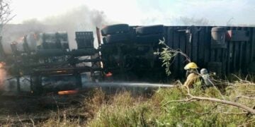 trailer llamas San Fernando