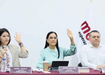 Ariadna Montiel reuniones perfiles
