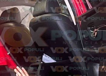 Auto camino árbol en Tampico