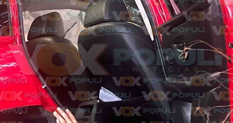Auto camino árbol en Tampico