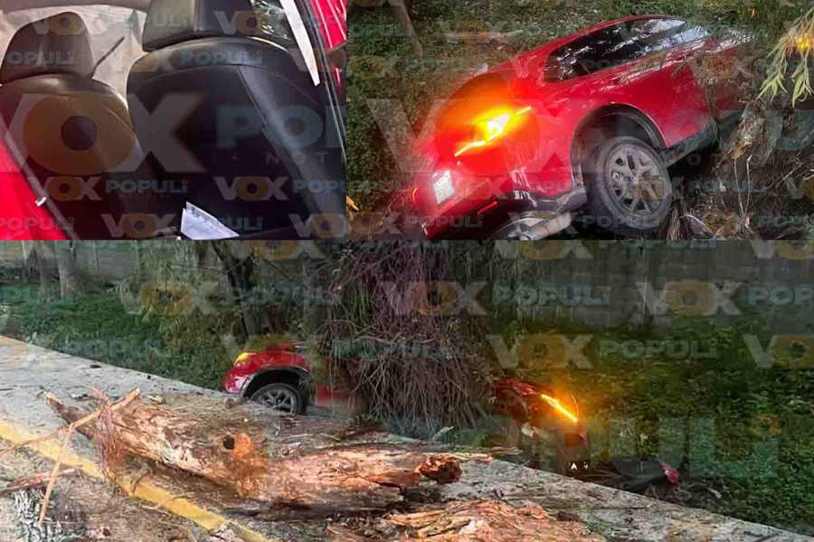 Auto camino árbol en Tampico