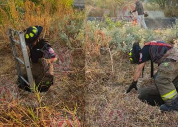 Bomberos perro atrapado Nuevo Laredo