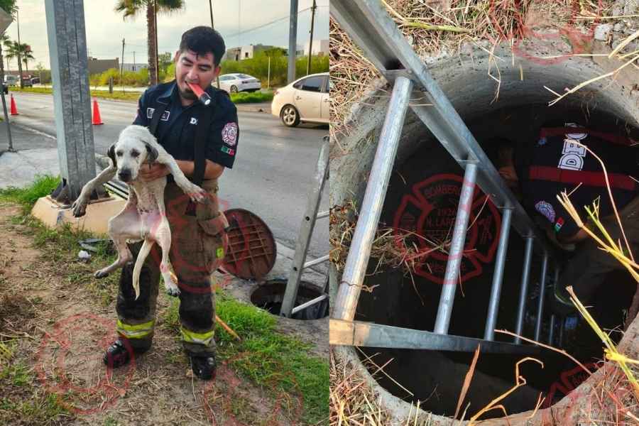 Bomberos perro atrapado Nuevo Laredo