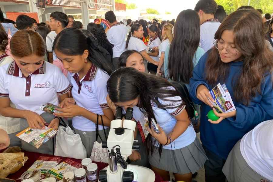 Cbtis 236 futuro profesional