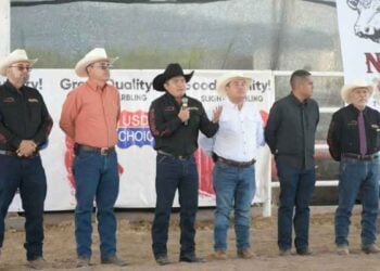 Concurso Novillo Gordo Feria