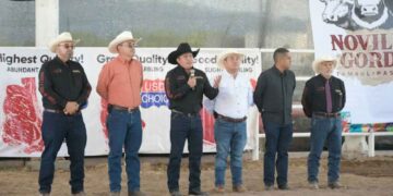 Concurso Novillo Gordo Feria
