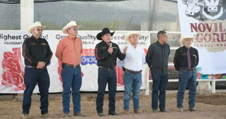 Concurso Novillo Gordo Feria