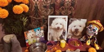 Día de Muertos ofrenda para mascotas