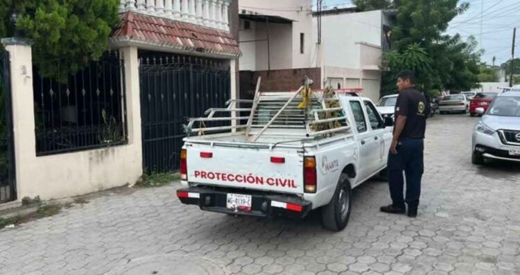 Flamazo vivienda El Mante