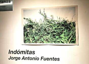 Fotoseptiembre 2026