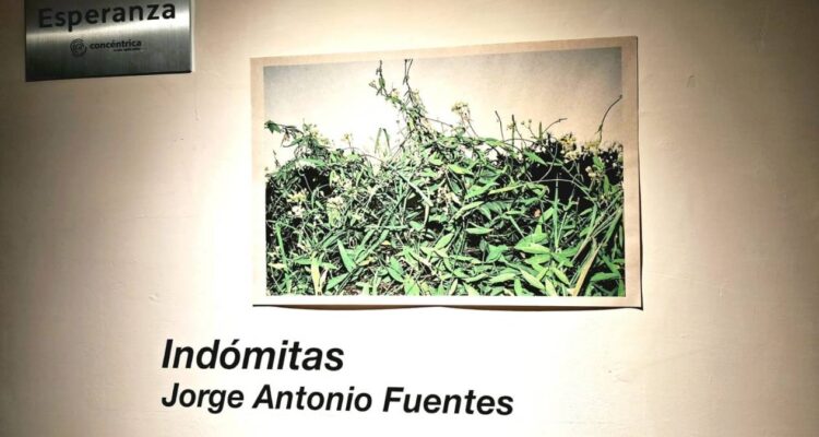 Fotoseptiembre 2026