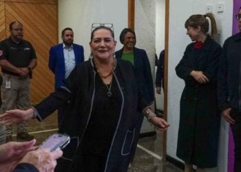Guadalupe Taddei denuncia INE