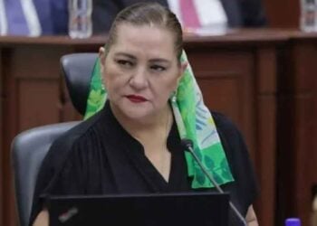 Guadalupe Taddei renunciar al INE