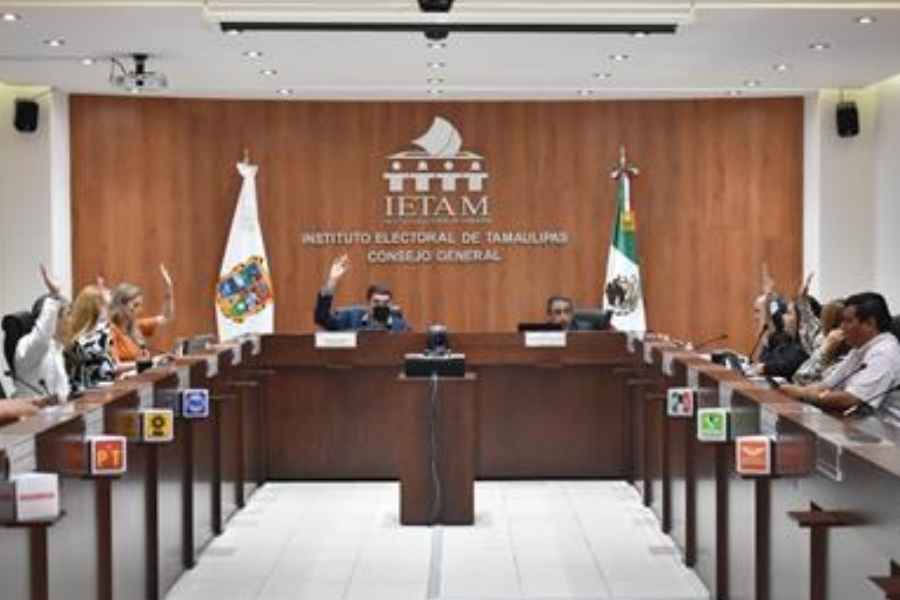 IETAM INE elecciones Tamaulipas 