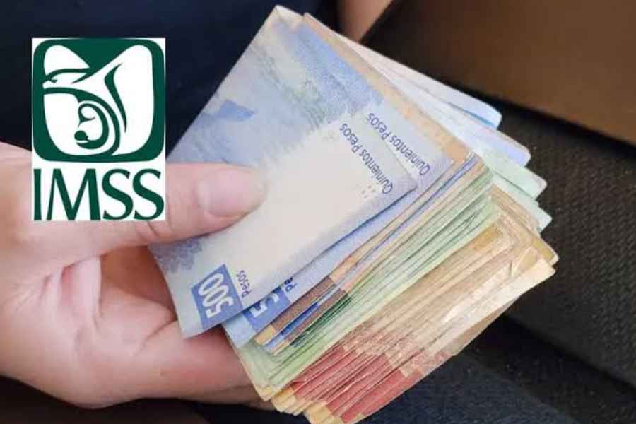 IMSS Modalidad 40 (1)