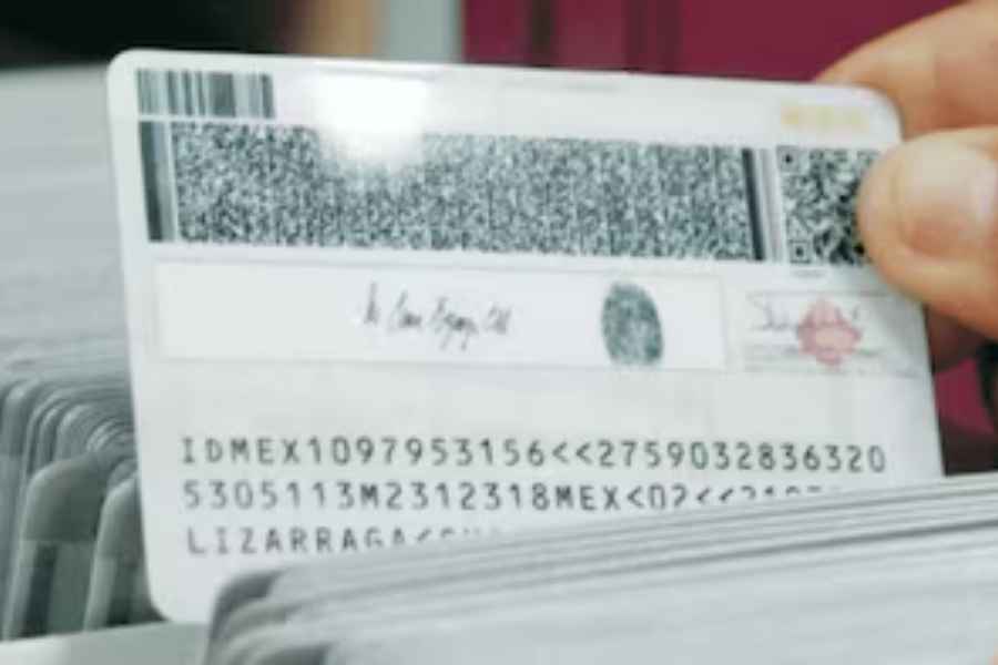 INE identidades datos biometricos