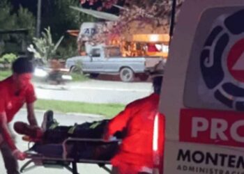 Ladrón ataque perros Montemorelos