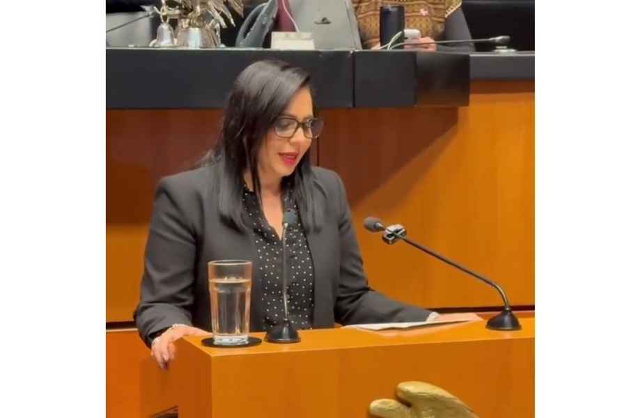 Ley llamadas insistentes Senado