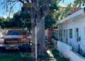 Madero hombre vivienda
