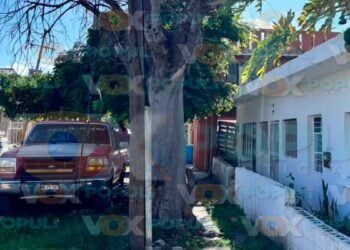 Madero hombre vivienda
