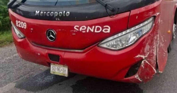 Mante Victoria autobus camioneta