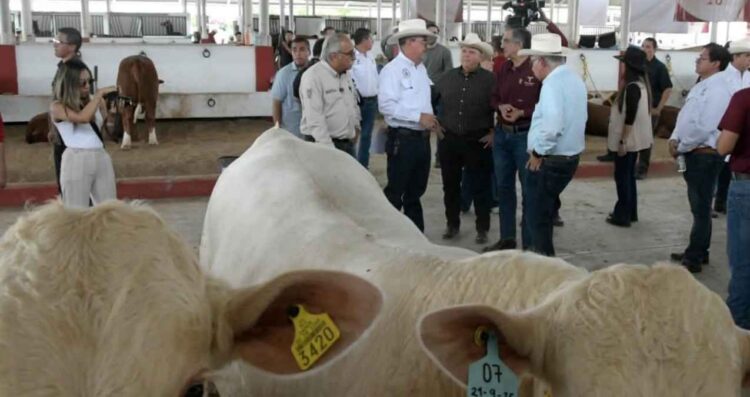 Mejoramiento Genético Feria Tamaulipas