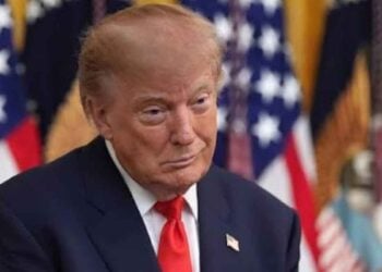 México cárteles Donald Trump