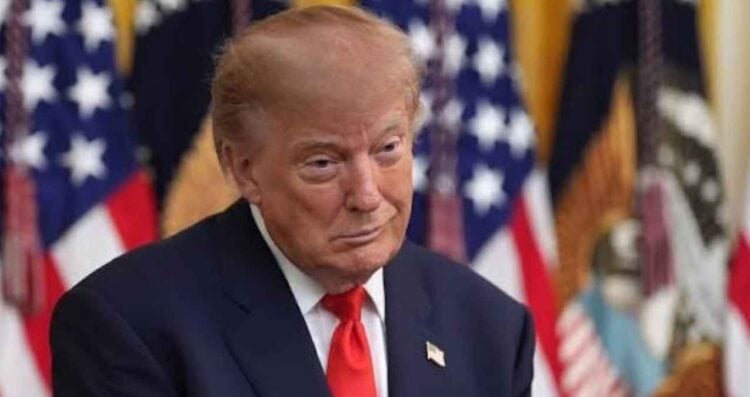México cárteles Donald Trump