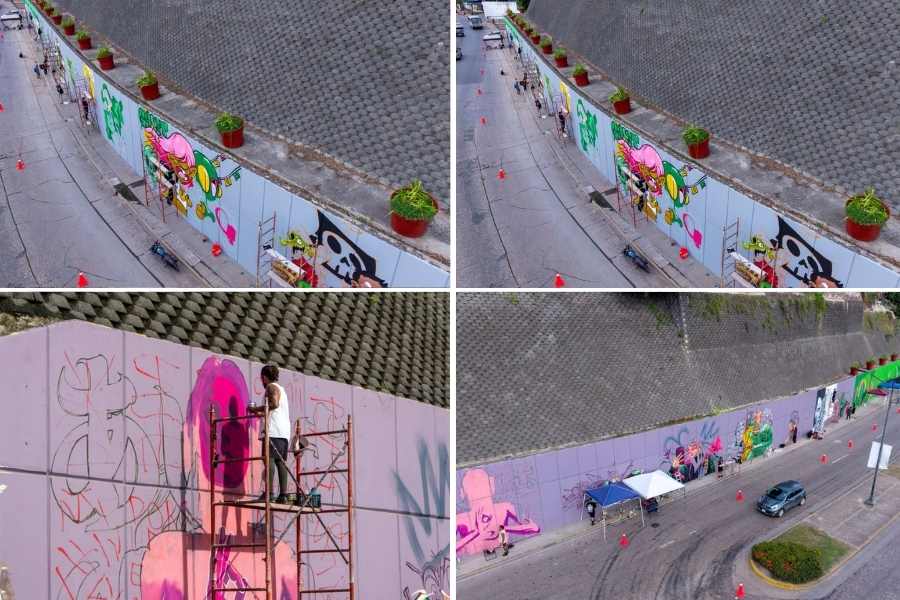 Mónica Villarreal murales Tampico
