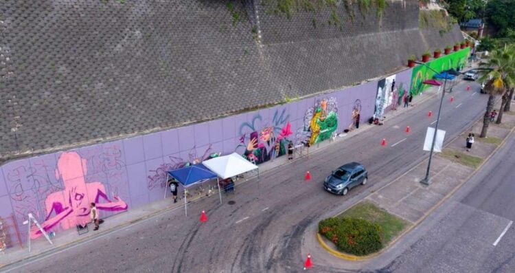 Mónica Villarreal murales Tampico