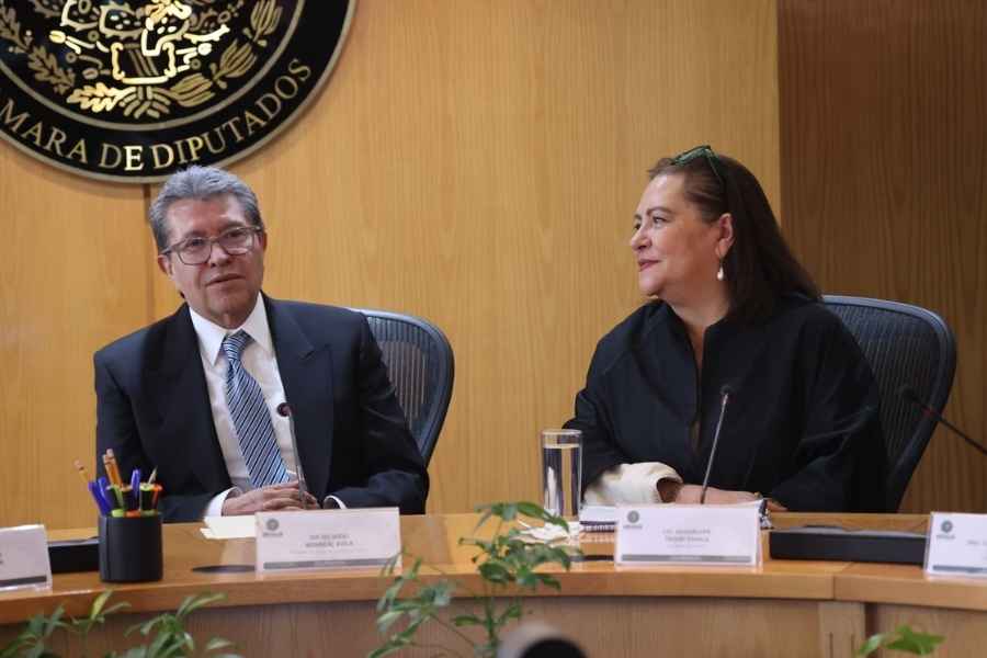 Monreal denuncias irregularidades Ine