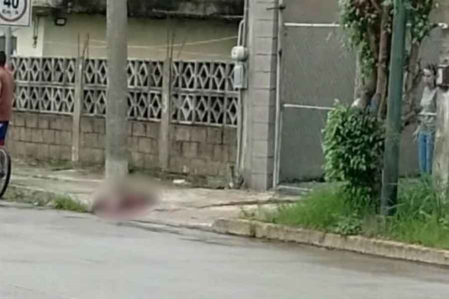 Muere perro agresión Tampico