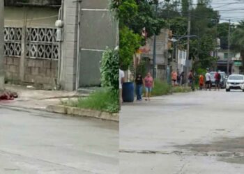 Muere perro agresión Tampico