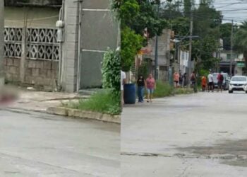 Muere perro agresión Tampico