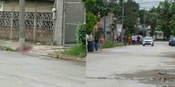 Muere perro agresión Tampico