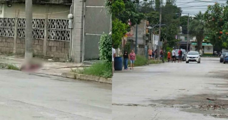Muere perro agresión Tampico